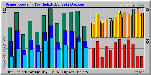 Usage summary for hubik.bonsaisite.com